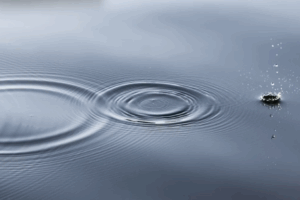 profit margin improvement